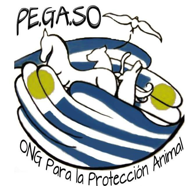 PERROS GATOS y otros - SOCORRO